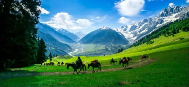 Kashmir Delight