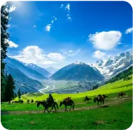Jammu Kashmir