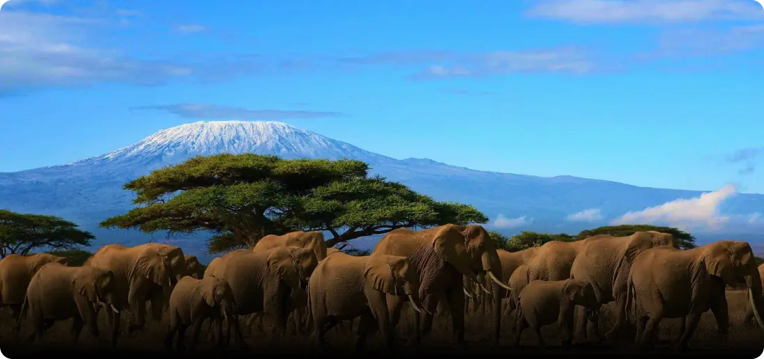 Kenya