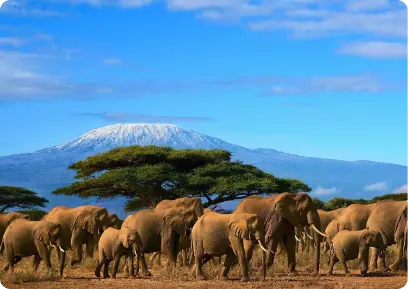 Kenya