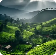 Kerala