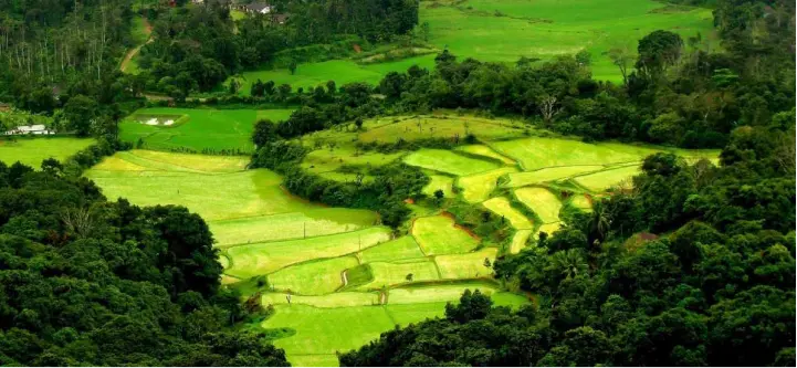 Coorg & Kabini