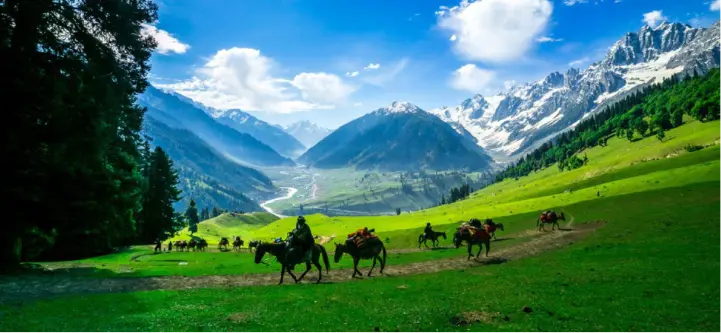 Kashmir Delight