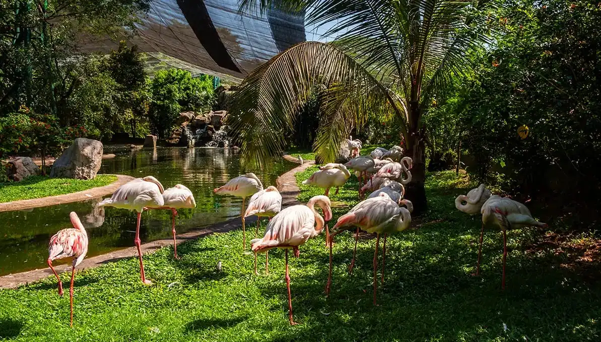 Kuala Lumpur Escapade